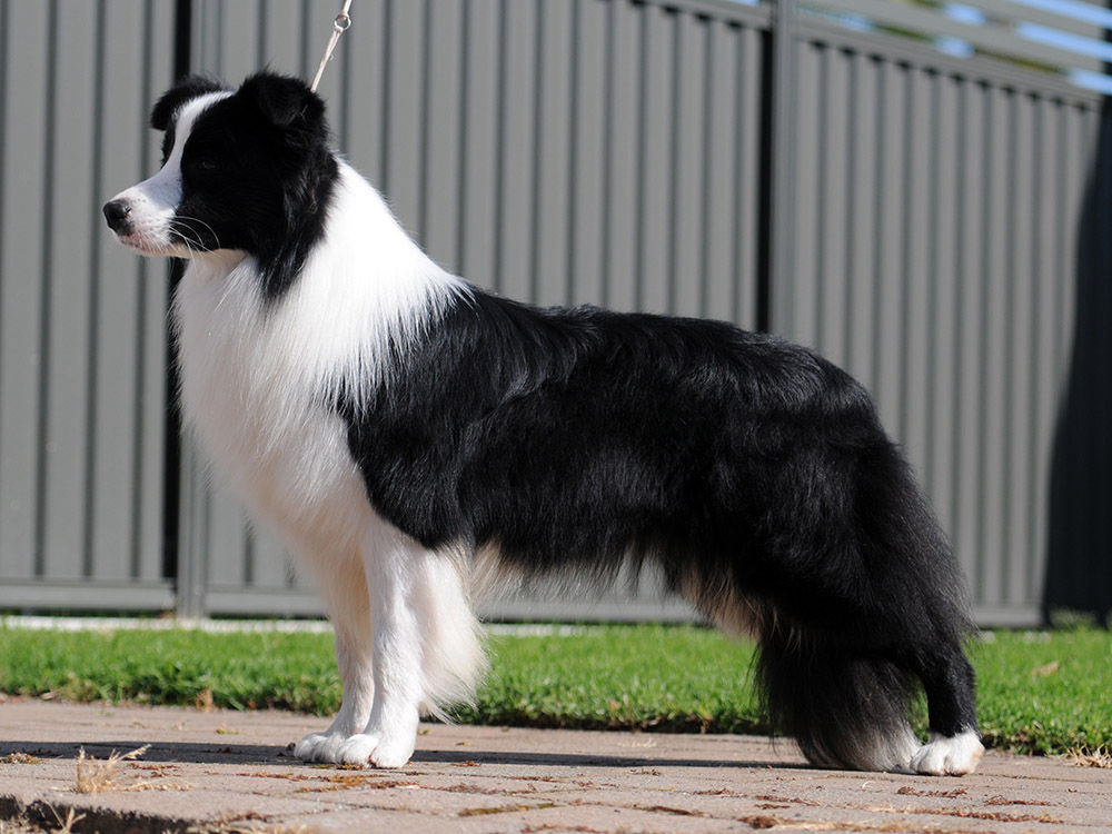 Photo credit Raelene Koerber